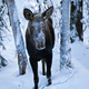 Image for article titled 10 Real-Life Creatures and the Horror Movies They Should Star In